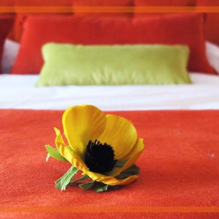 Medrano Kind Apartman Buenos Aires Kültér fotó
